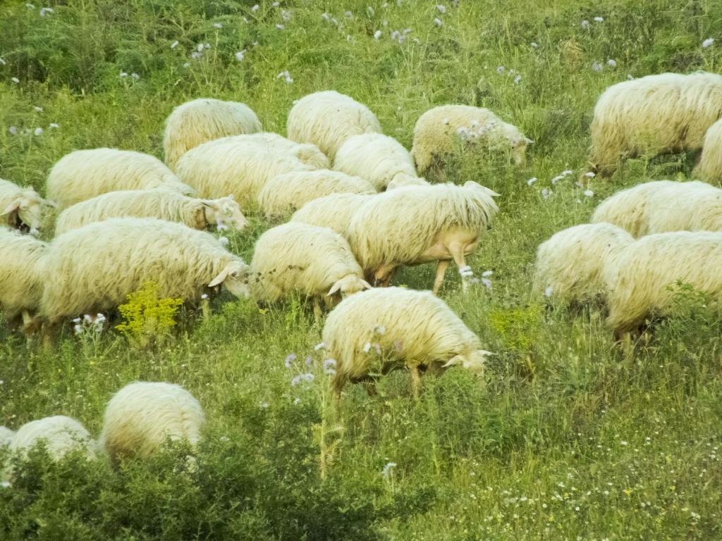 Tenuta Su Vrau Posada  Bagian luar foto