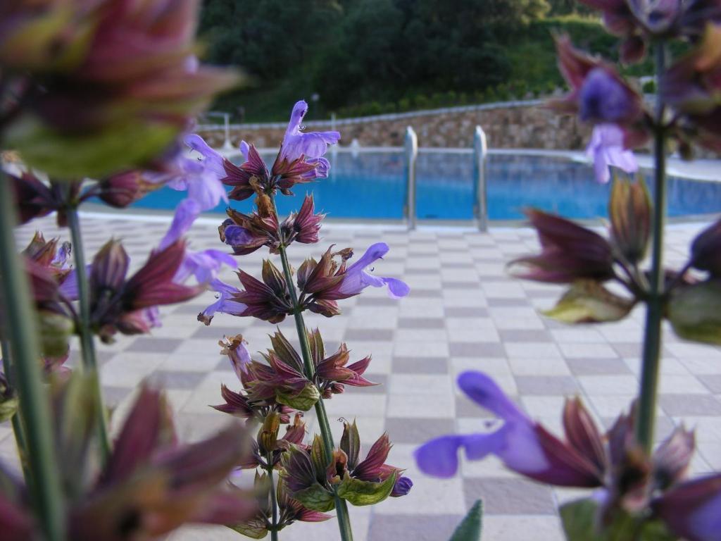 Tenuta Su Vrau Posada  Bagian luar foto